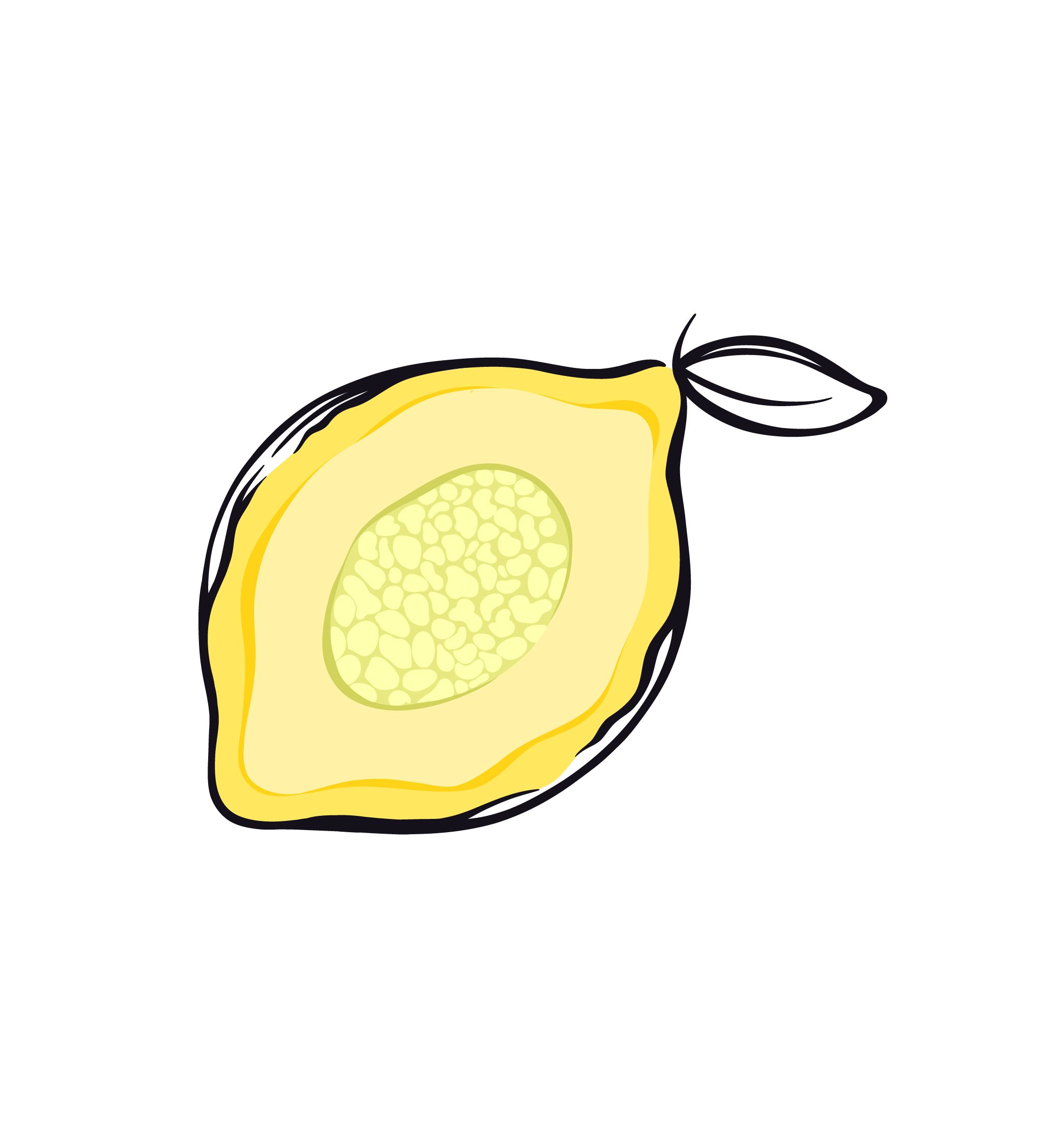 Le citron – Image 2