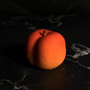 L'ABRICOT